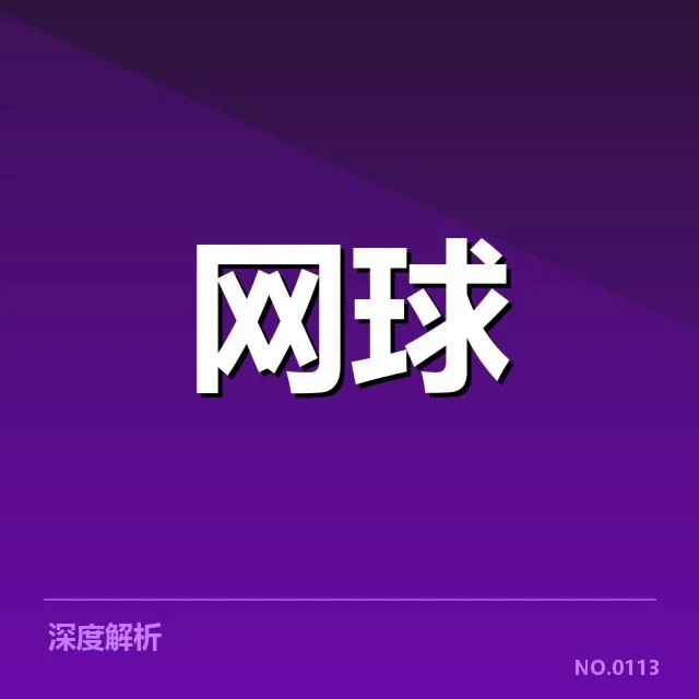 已确认的红土赛季技术特征