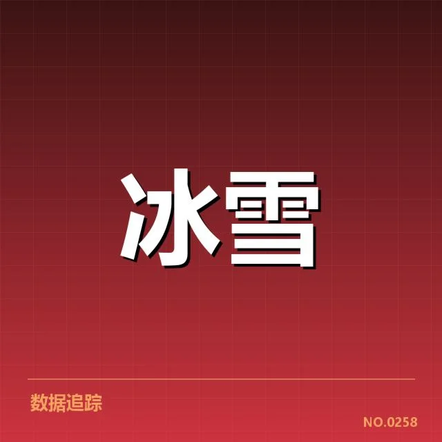 核心选手成绩与赛程关键数据